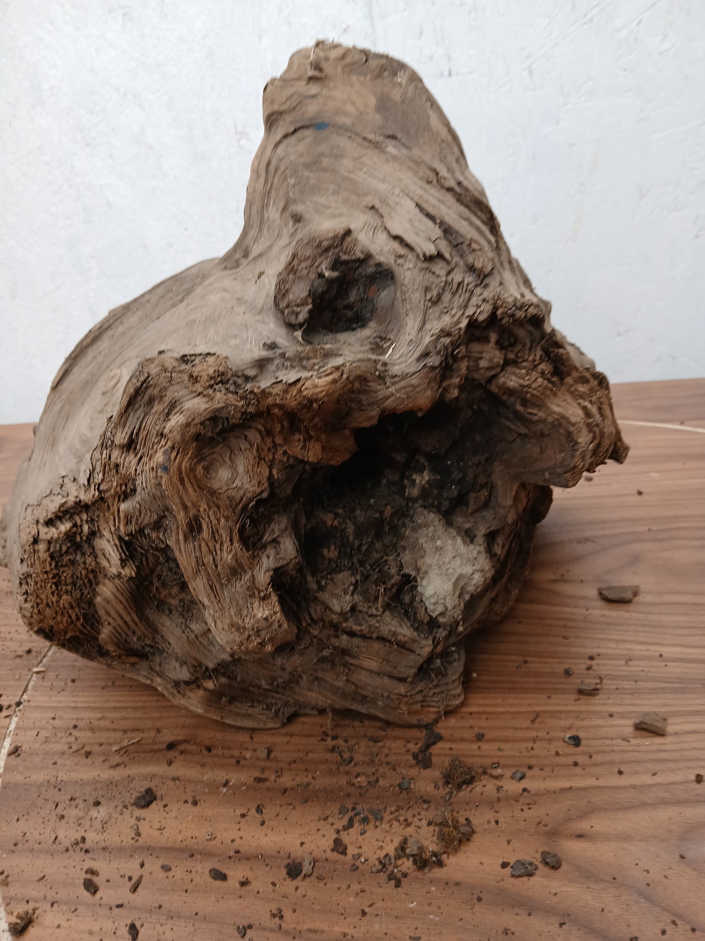 Juniper Burl wood and resin bowl