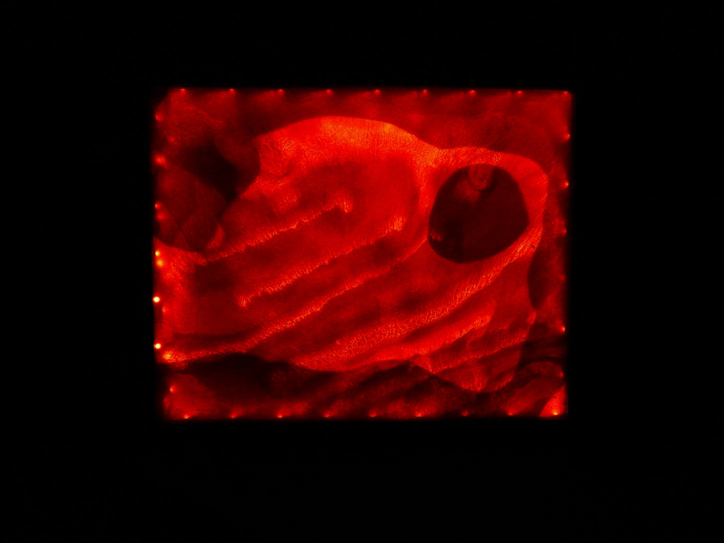 Oceanic - WorldView lighted art display