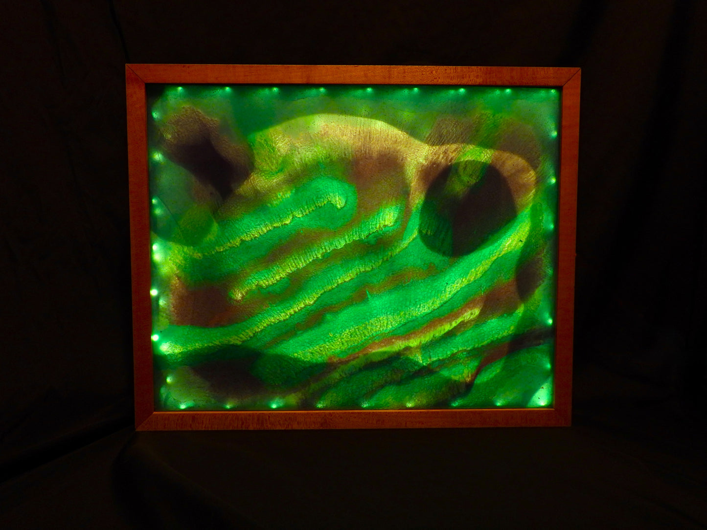 Oceanic     -  WorldView lighted art display