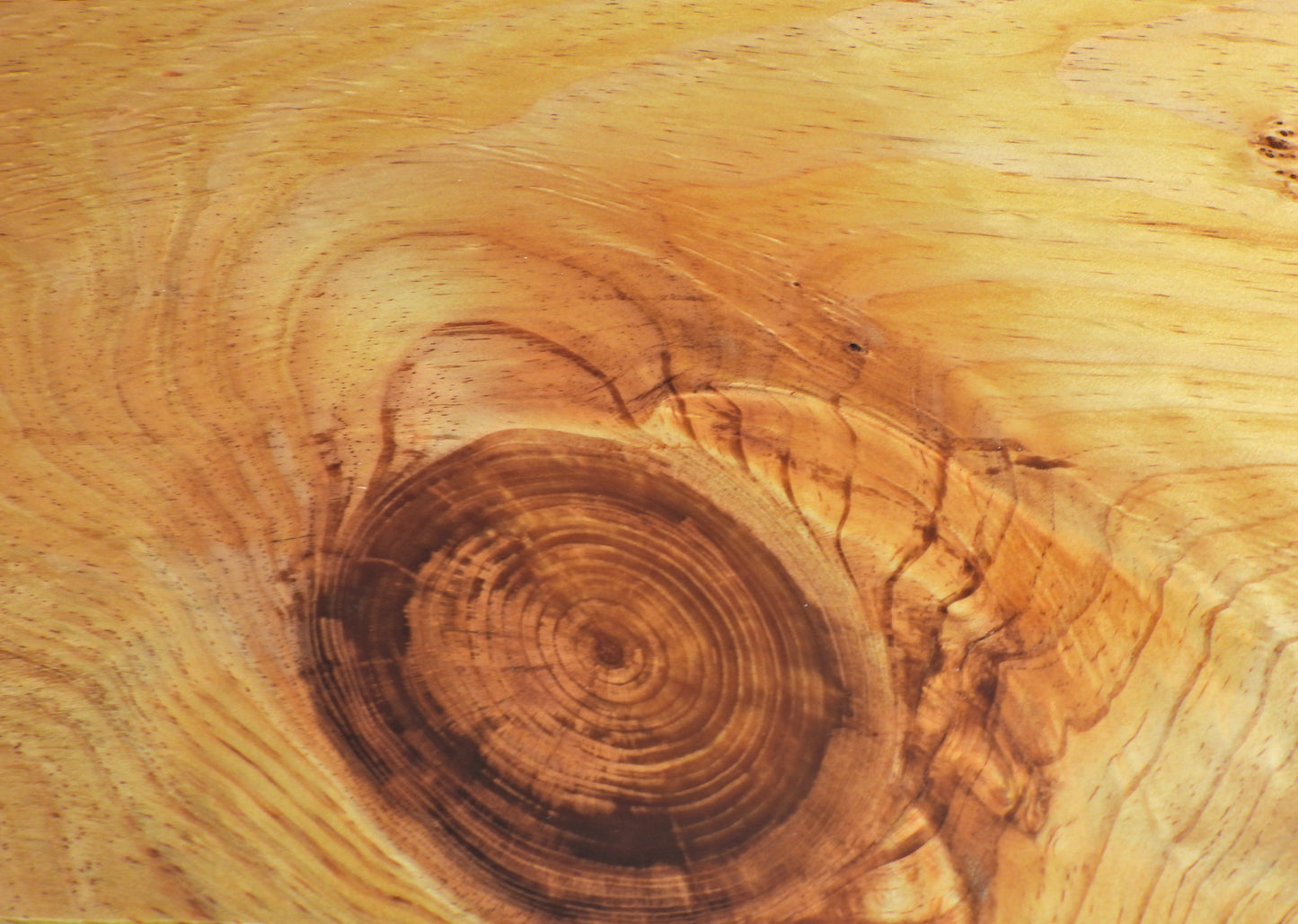 One Last Ride -  Custom coffee table
