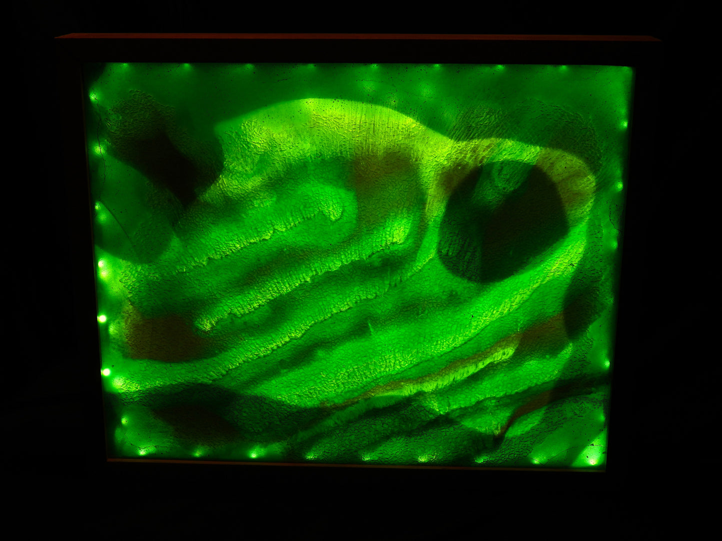 Oceanic     -  WorldView lighted art display