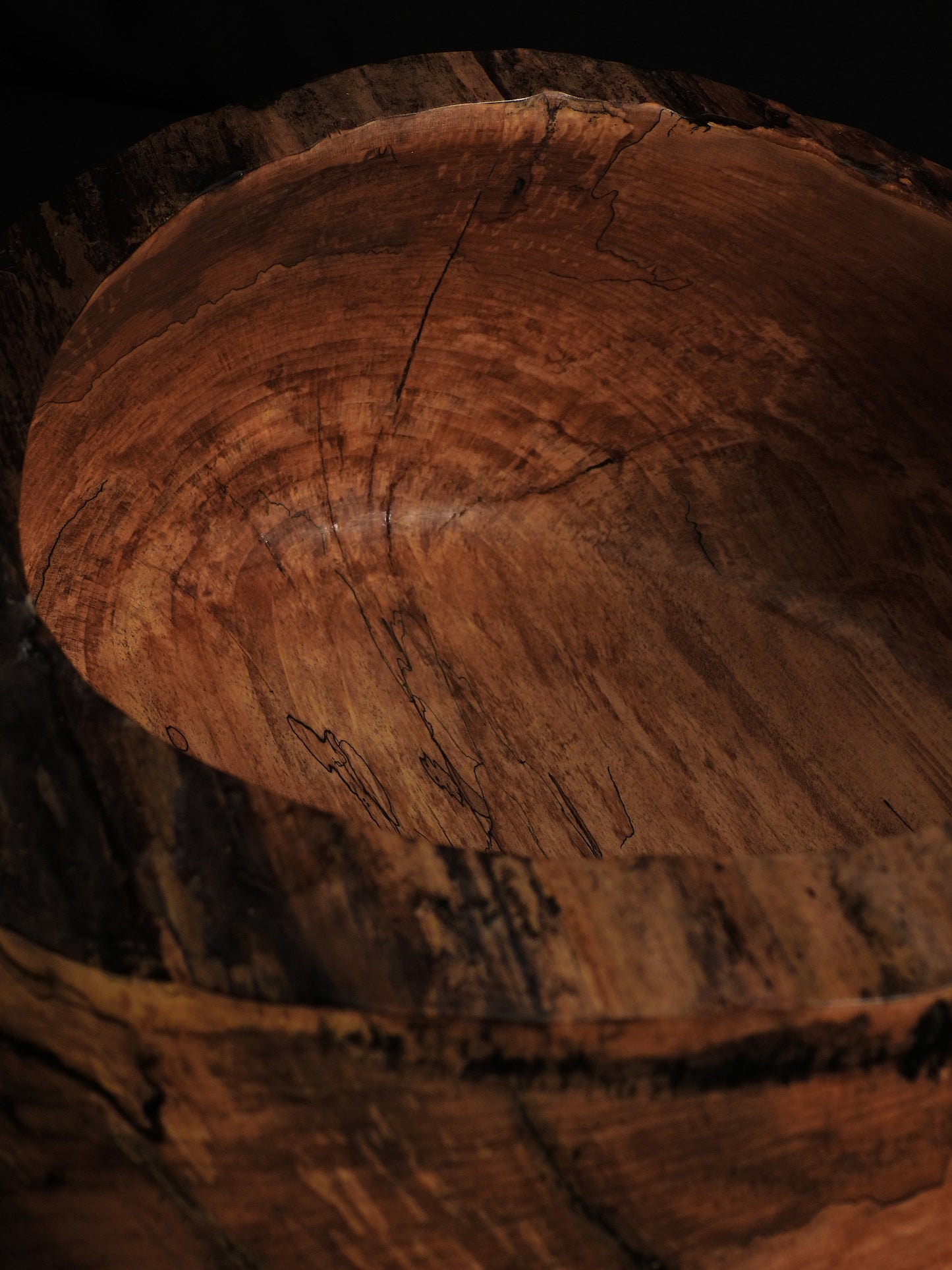 Vintage Lignum - Natural Live Edge Art Bowl
